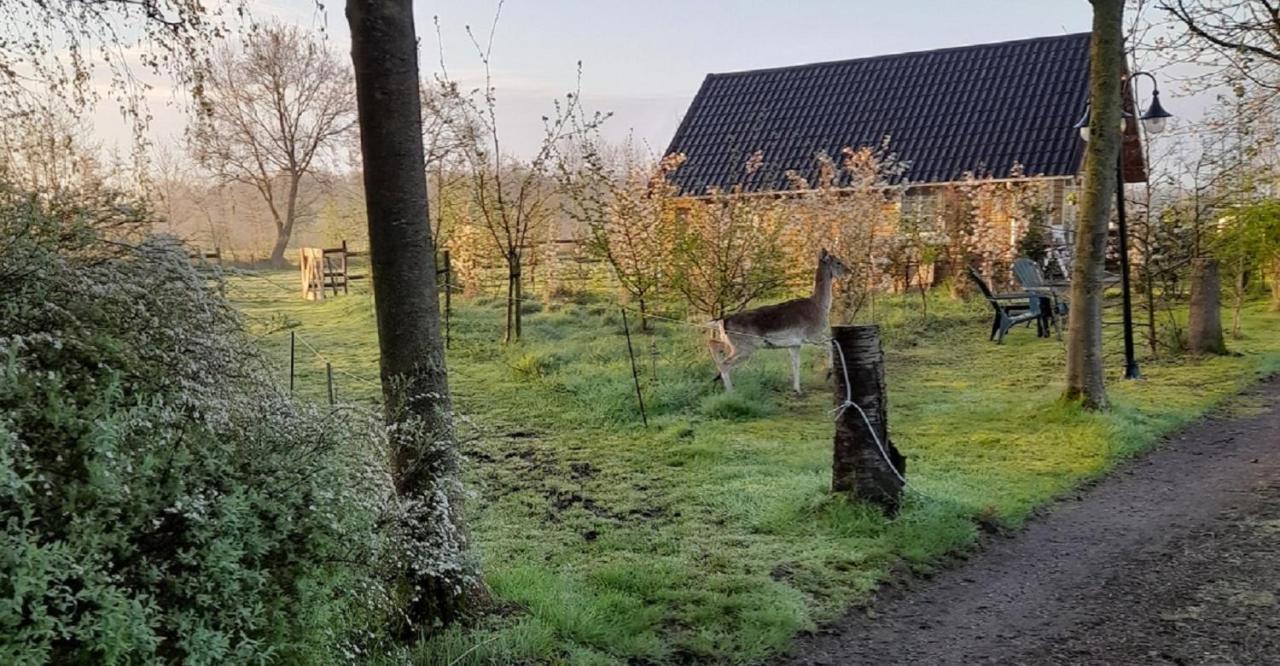B&B Landgoed Sonneborghe Kollumerzwaag Esterno foto