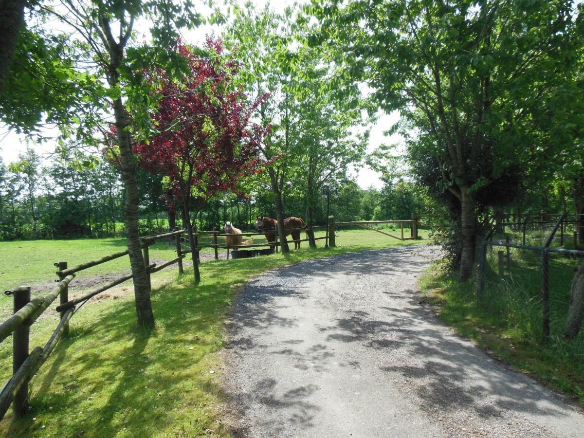 B&B Landgoed Sonneborghe Kollumerzwaag Esterno foto