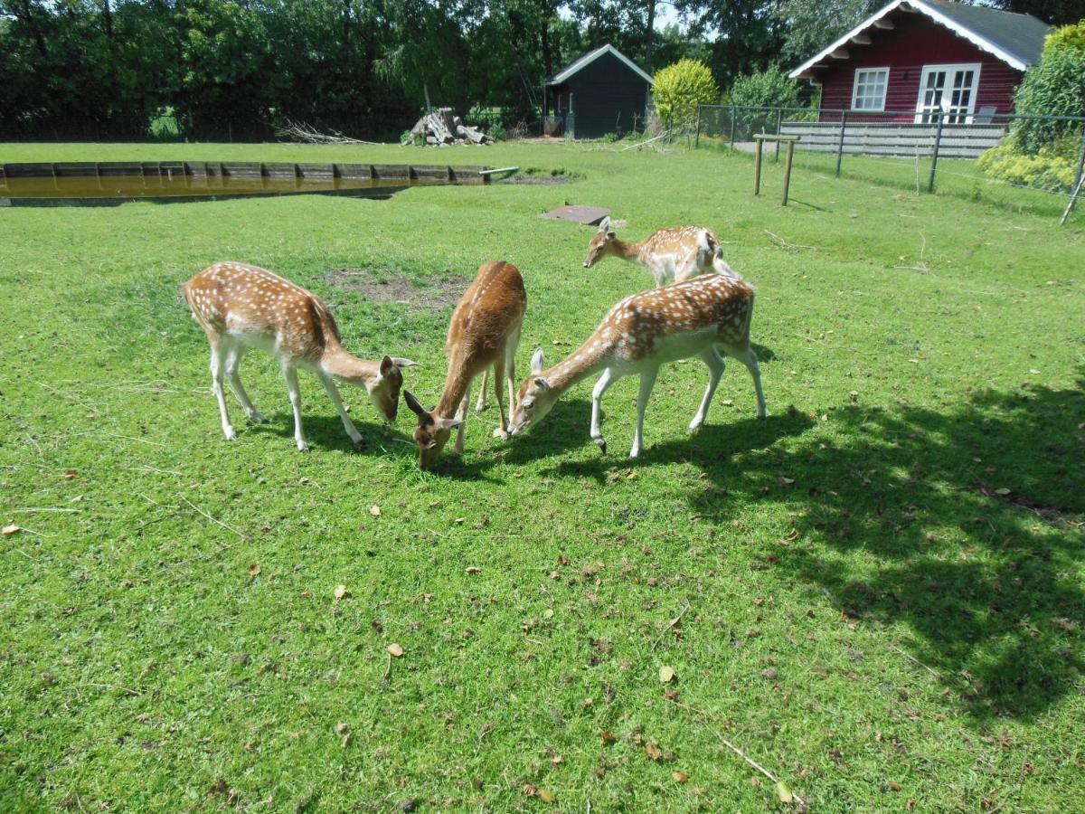 B&B Landgoed Sonneborghe Kollumerzwaag Esterno foto